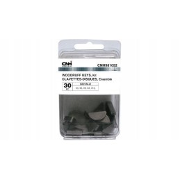 Mygtuko įvadas cnh981052