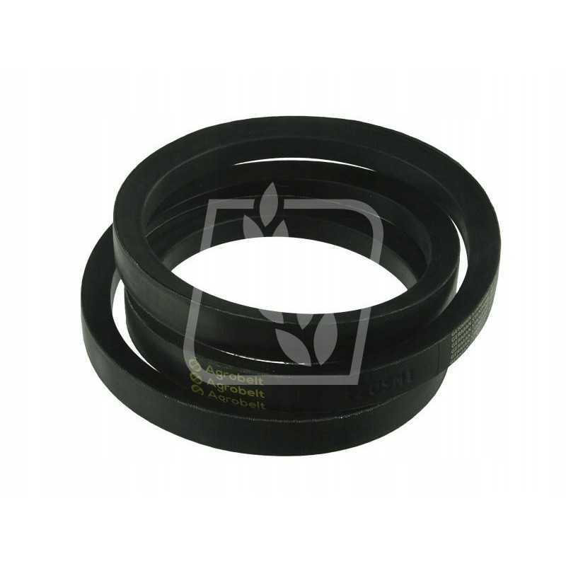 Juosta 418209m1 22x1625