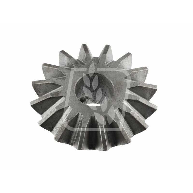 Lifto žvaigždutė 1110427012400