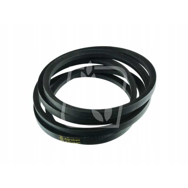 Juosta 417660m1 17x3200