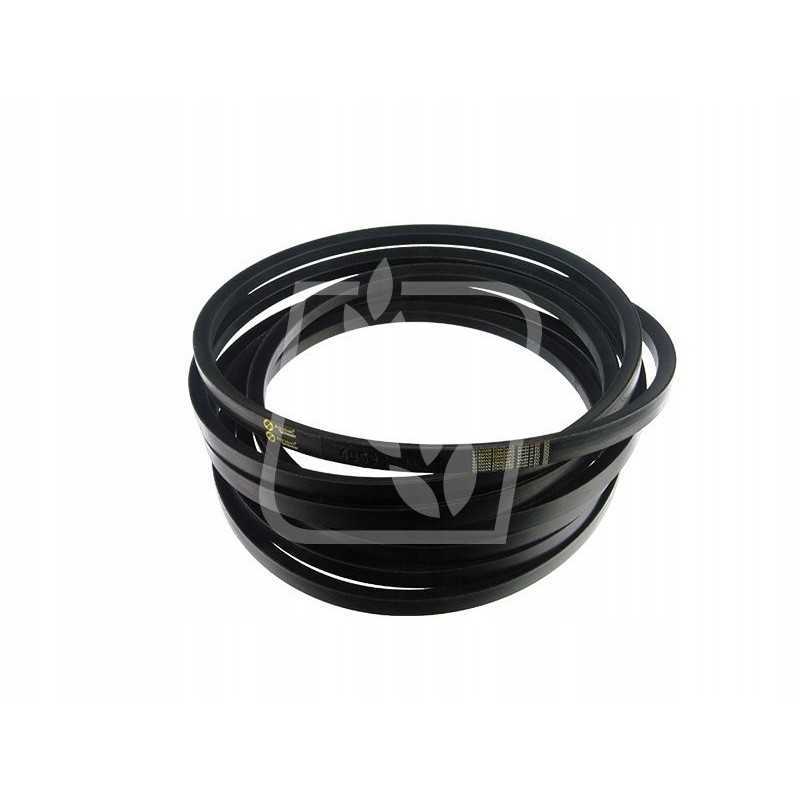 Juosta 405928m1 17x6299