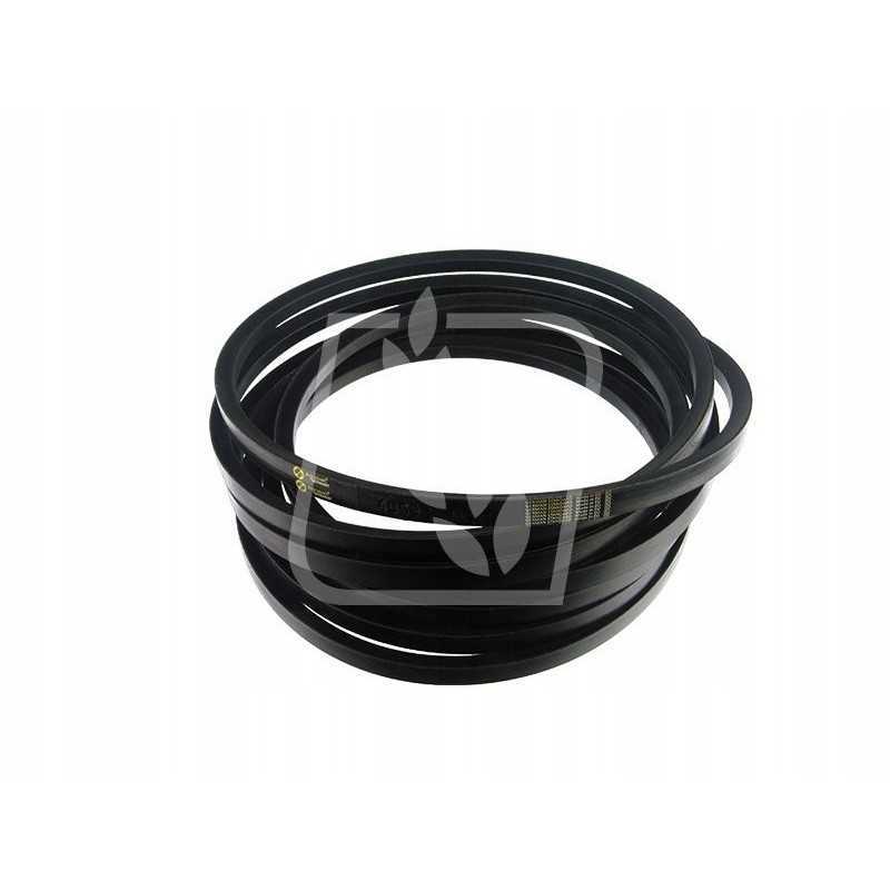 Juosta 405928m1 17x6299