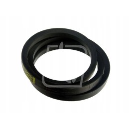 Juosta 418209m1 22x1625