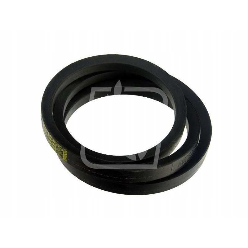 Juosta 418209m1 22x1625