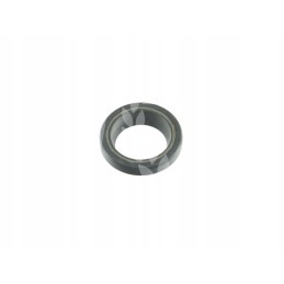 Žiedas 20x30x7mm 239022
