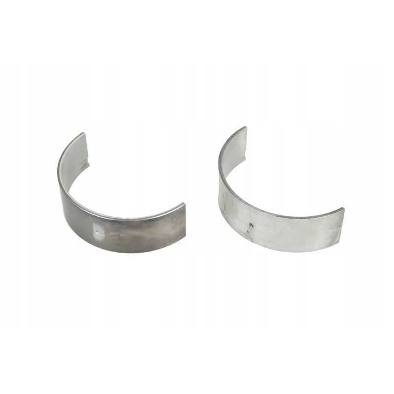 001pl266025 švaistiklio guolis