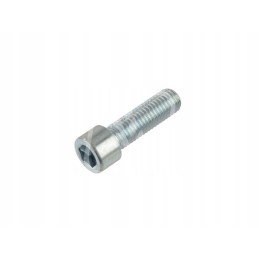 Stebulės varžtas M12x40mm 238317