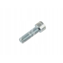 Stebulės varžtas M12x40mm 238317