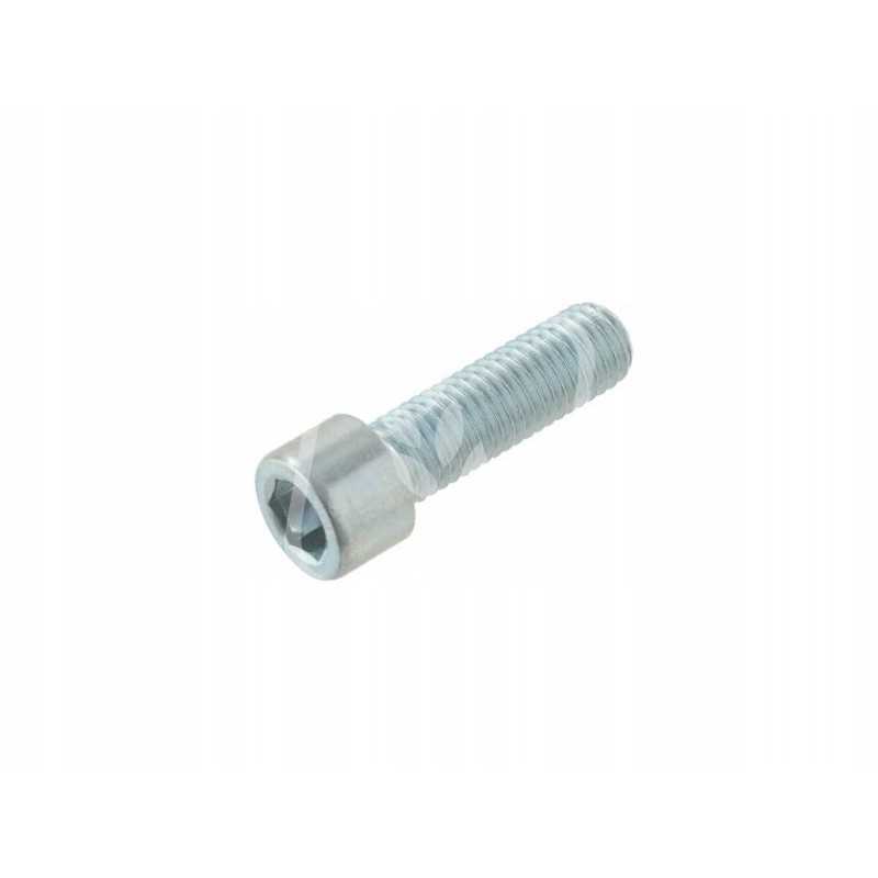 Stebulės varžtas M12x40mm 238317