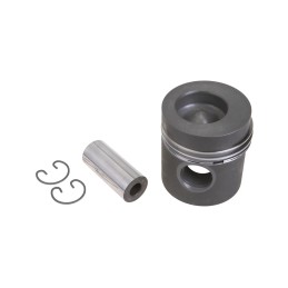 0029900 variklio stūmoklis