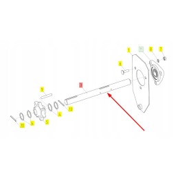 100988977 grūdų elevatoriaus volas