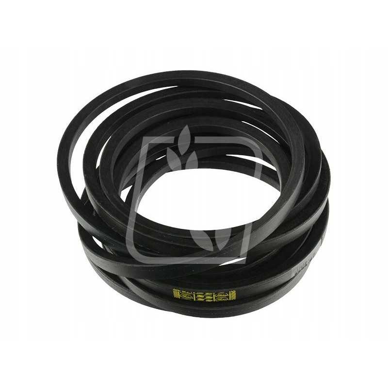 Pas vartus 0101454
