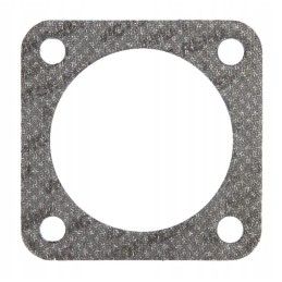 Steyr išmetimo tarpinė