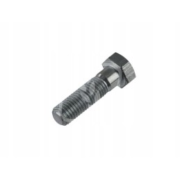 Varžtas m18x65mm 238981
