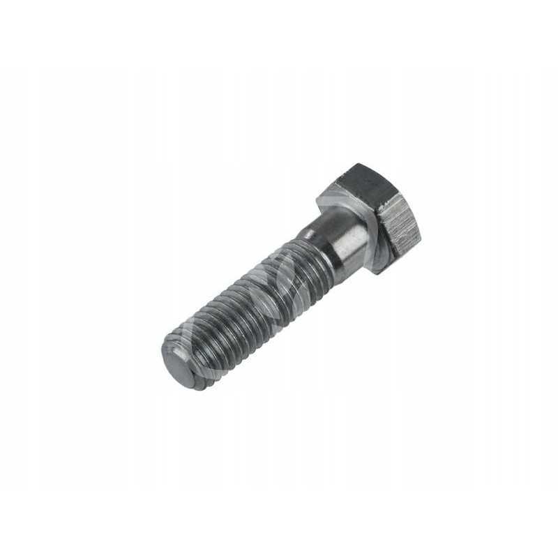 Varžtas m18x65mm 238981