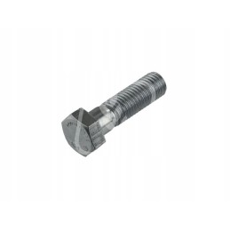 Varžtas m18x65mm 238981