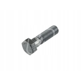Varžtas m18x65mm 238981