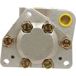 Hidraulinio siurblio korpusas David Brown k962635 k96268