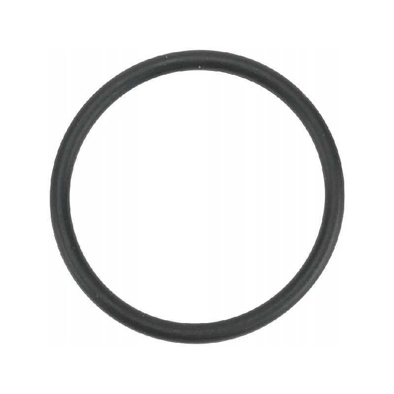 Kuro siurblio tarpiklis jd