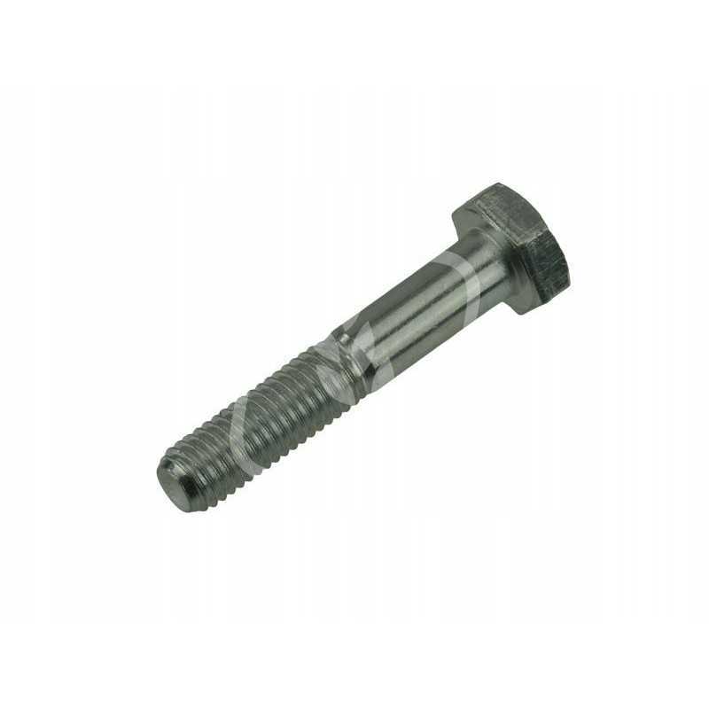 Varžtas M10x55mm 233572