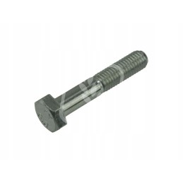 Varžtas M10x55mm 233572