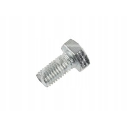 Varžtas M10x20mm 237382