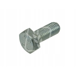 Varžtas m10x25mm 72 343