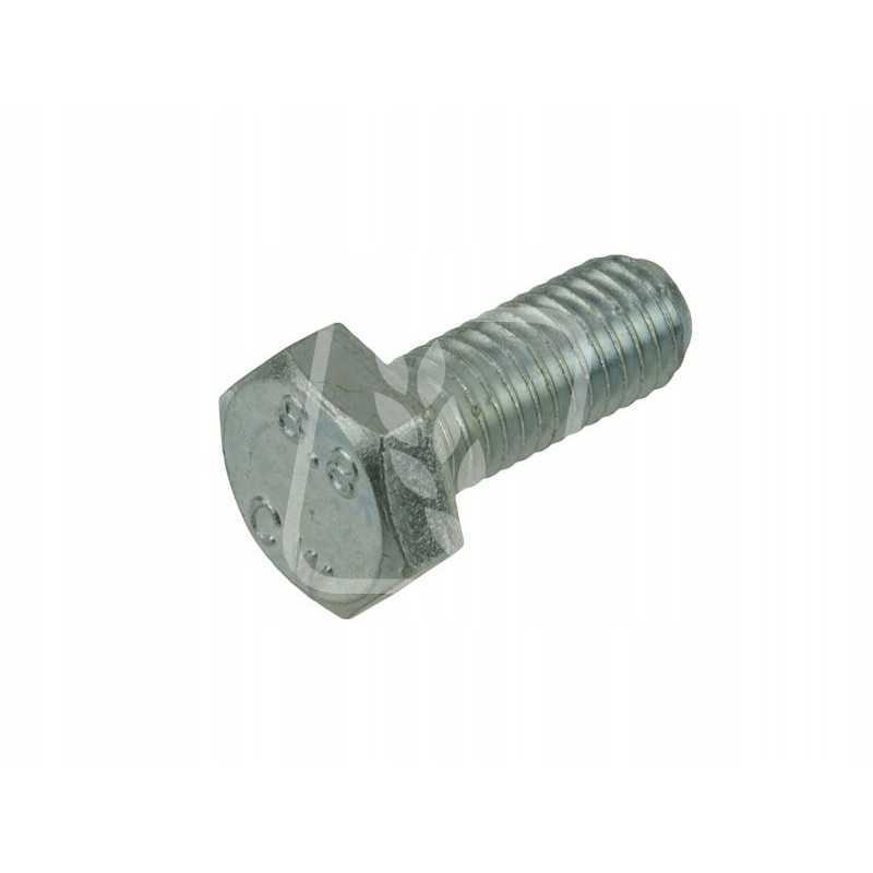 Varžtas m10x25mm 72 343
