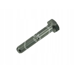 Varžtas M10x55mm 233572