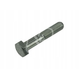 Varžtas M10x55mm 233572