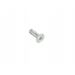 Varžtas M10x30mm 237828