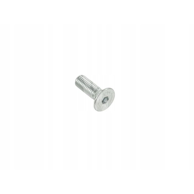 Varžtas M10x30mm 237828