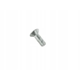 Varžtas M10x30mm 237828