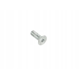 Varžtas M10x30mm 237828