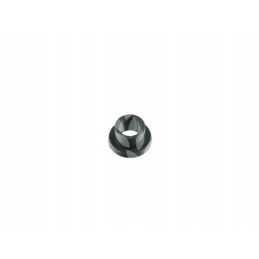 Acetabulum 600051