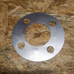 Siurblio pavaros diskas plx31724 bizon