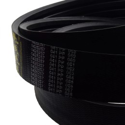 V formos dirzas claas 544164 0 vartai 1425257