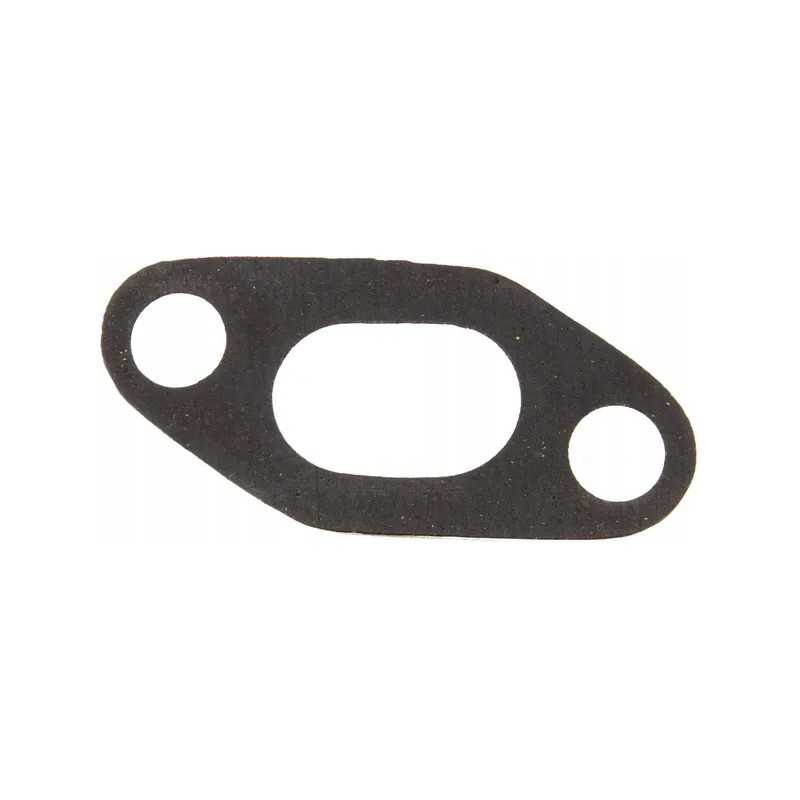 Fiatagri sandarinimo žiedas