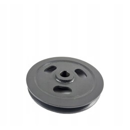 Jag02 0145 dalgio pavaros skriemulys fi 35 676284