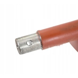 Grūdinės sraigės viršutinio horizontalaus bizono rekordas