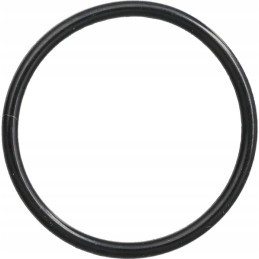 O-žiedo sandariklis