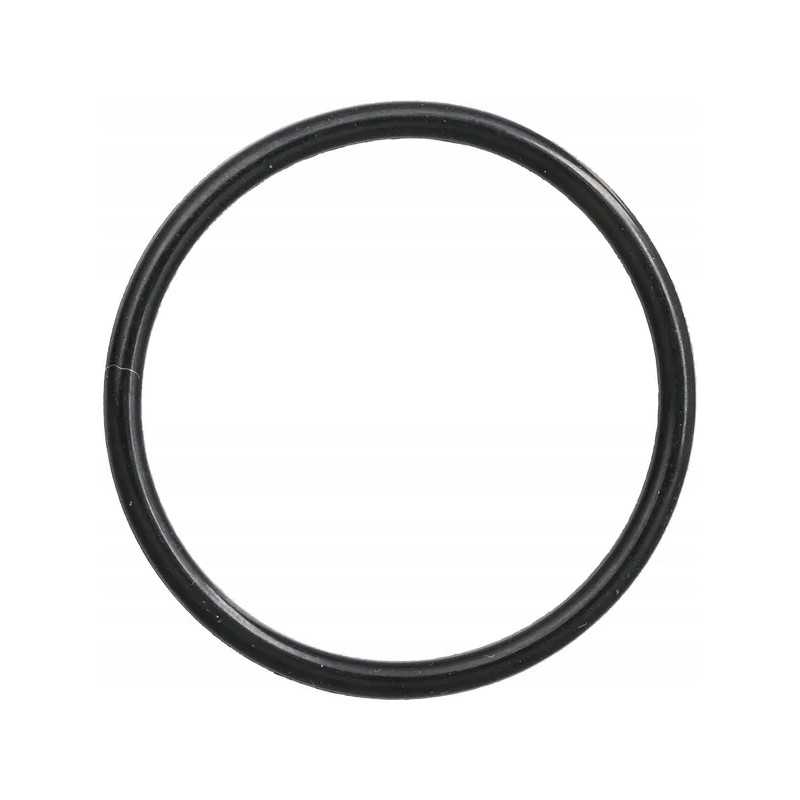 O-žiedo sandariklis