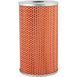 Seno tipo alyvos filtro įdėklas tinka Bison