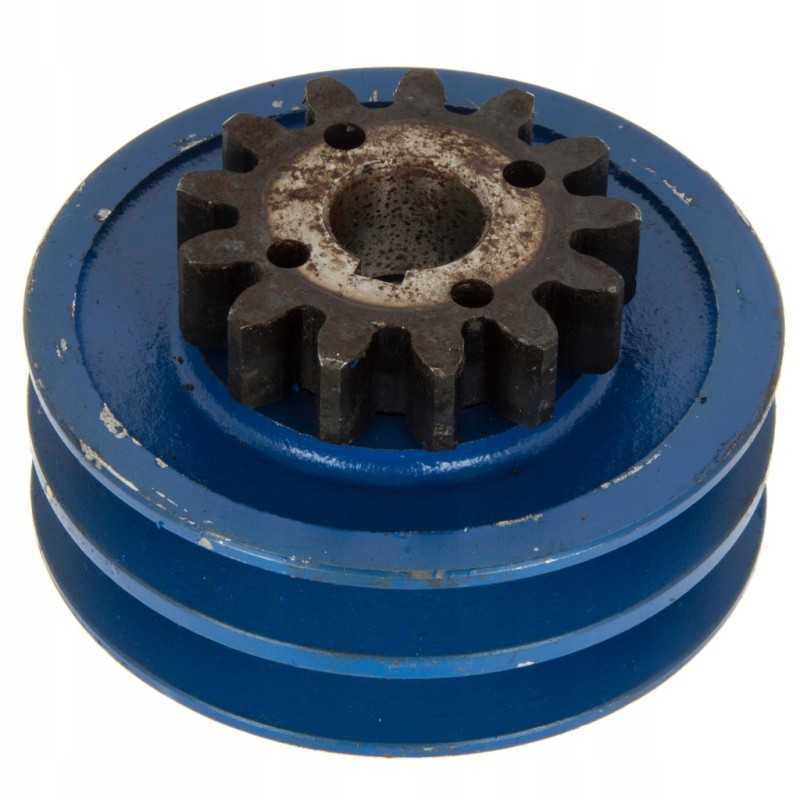 Anna bulvių kombaino pilnas skriemulys