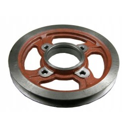 Skriemulys ir bizonas 5040200061