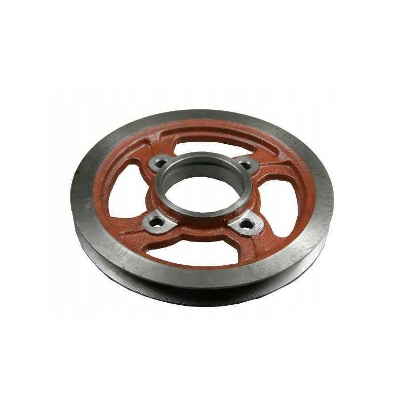 Skriemulys ir bizonas 5040200061