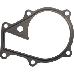 Vandens siurblio sandariklis