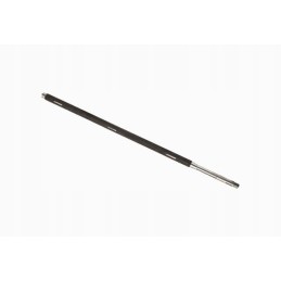 Būgnas, kuliantis naujos rūšies bizonus