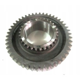 Netoli trečiosios rasės – bizonų rekordas