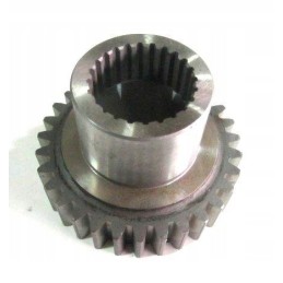 Netoli trečiosios rasės – bizonų rekordas